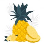 pineapple illusturation
